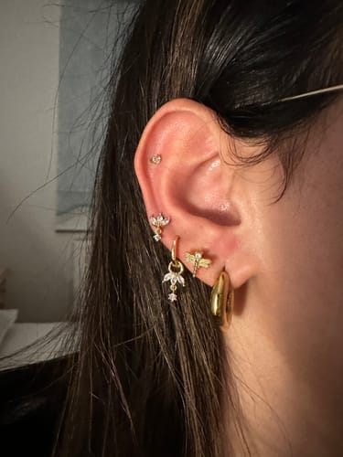 Customer photo review of Bee Ohr Piercing Gold