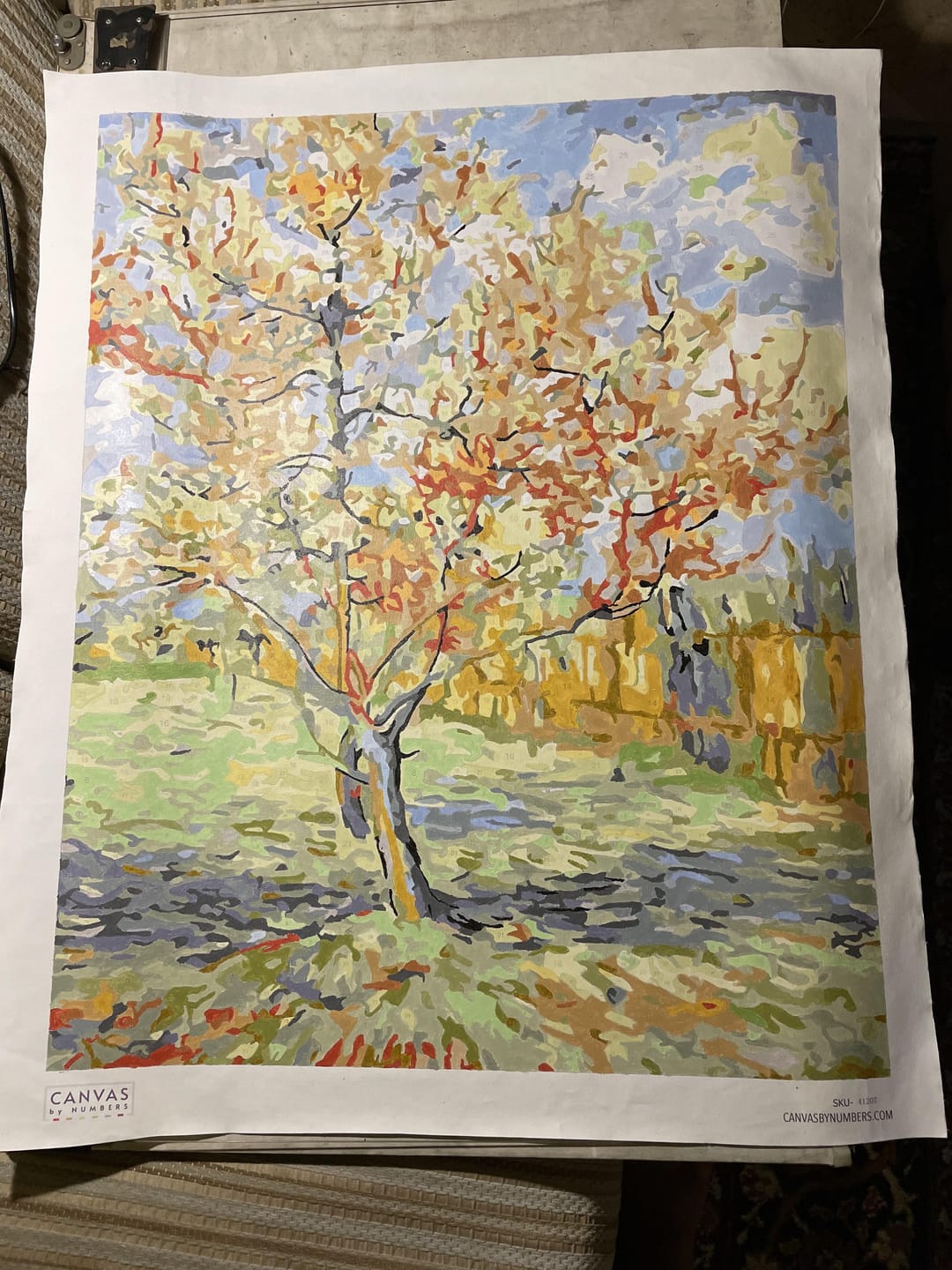 Customer photo review of Peach Tree - Paint by Numbers