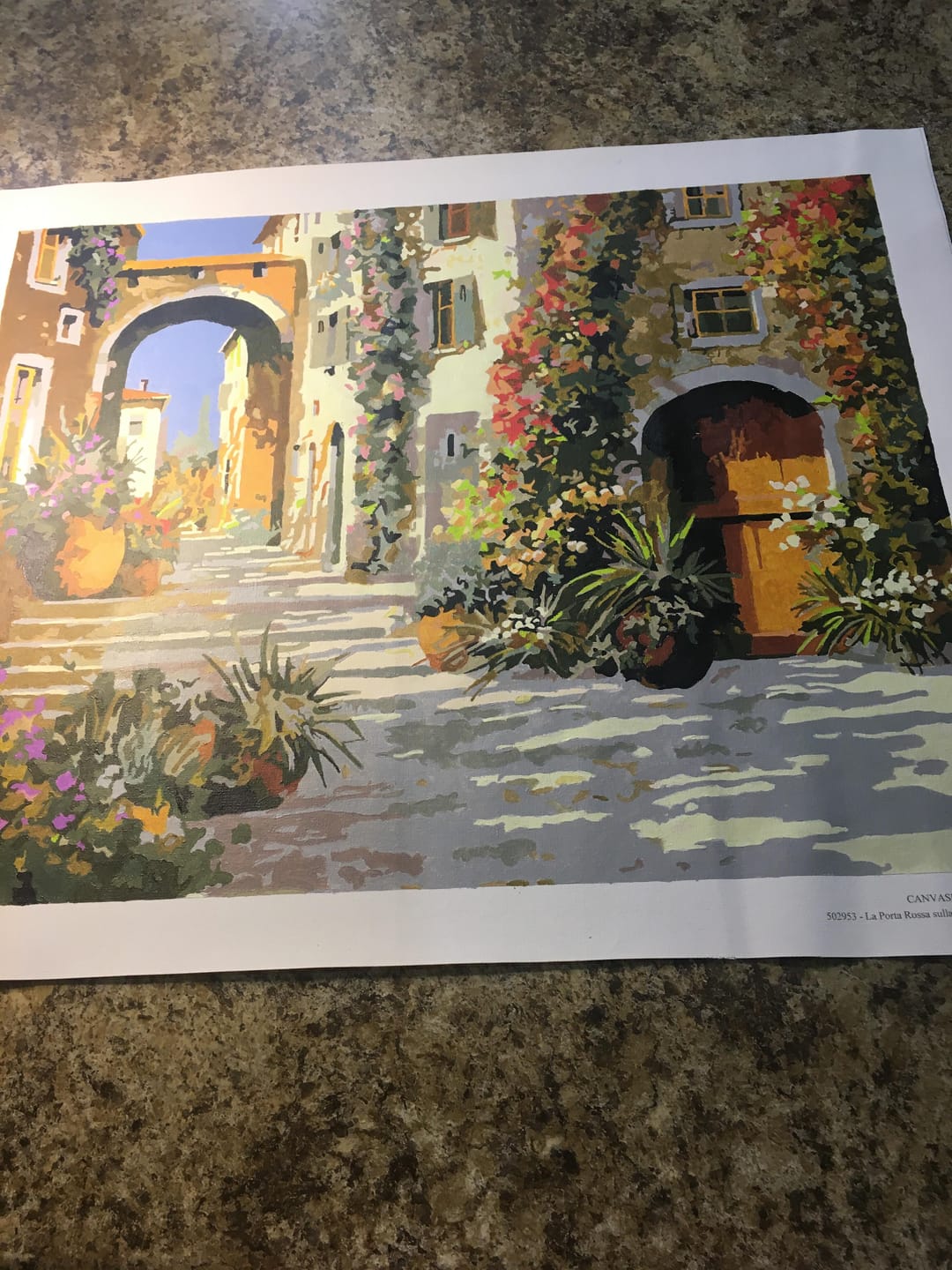 Customer photo review of La Porta Rossa sulla Salita - Paint by Numbers