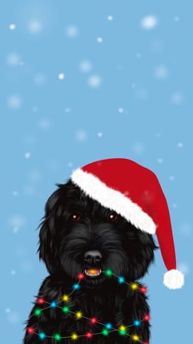 Customer photo review of Black Cockapoo in Santa Hat Phone Wallpaper