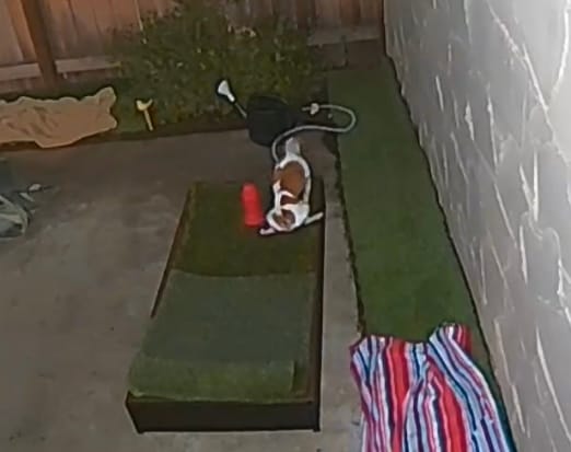 Customer photo review of Porch Potty Standard