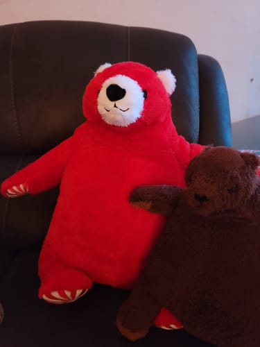 Customer photo review of MYNTASKOG