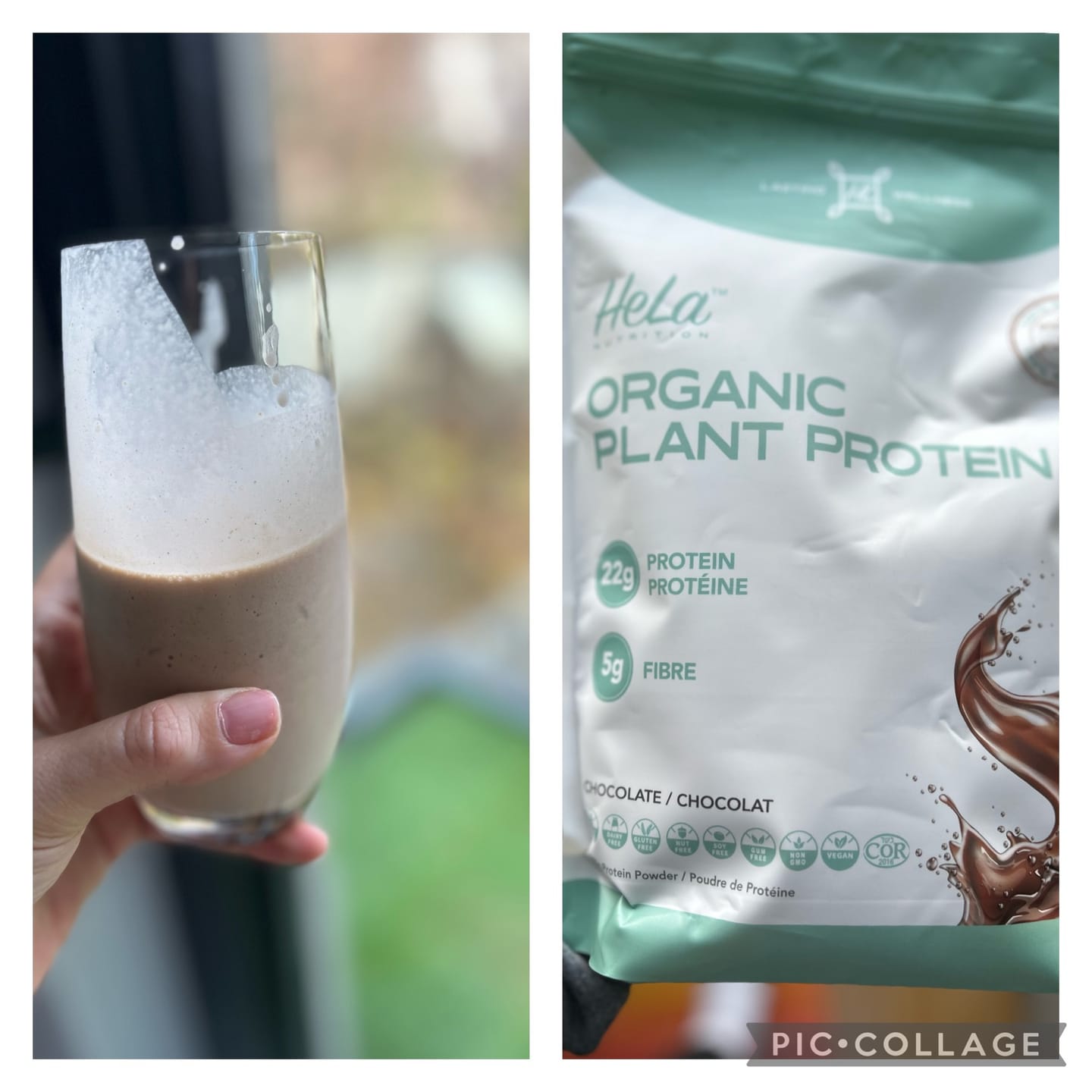Customer photo review of Organic Plant Protein