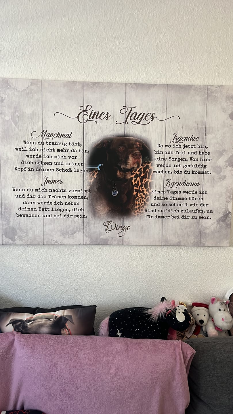 Customer photo review of Eines Tages - Individuelle Leinwand