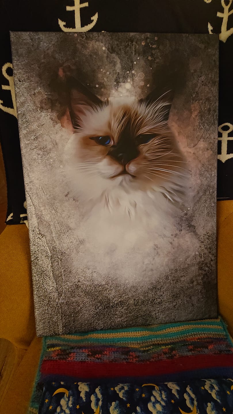 Customer photo review of Deine Katze als Aquarell Tierportrait | Geschenk für Katzenliebhaber