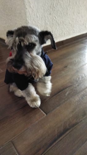 Customer photo review of Mobility