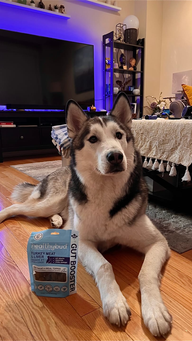 Customer photo review of Turkey Gut Booster