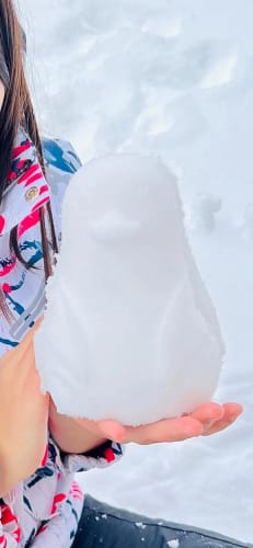 Customer photo review of SnowBuddys - Snowball Kit 4 Pack