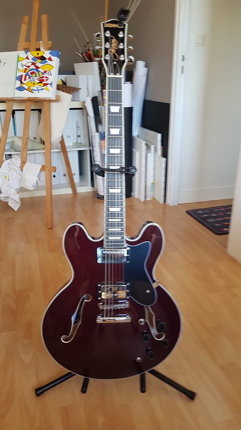 Customer photo review of Donner DJP-1000 Guitare Jazz Électrique