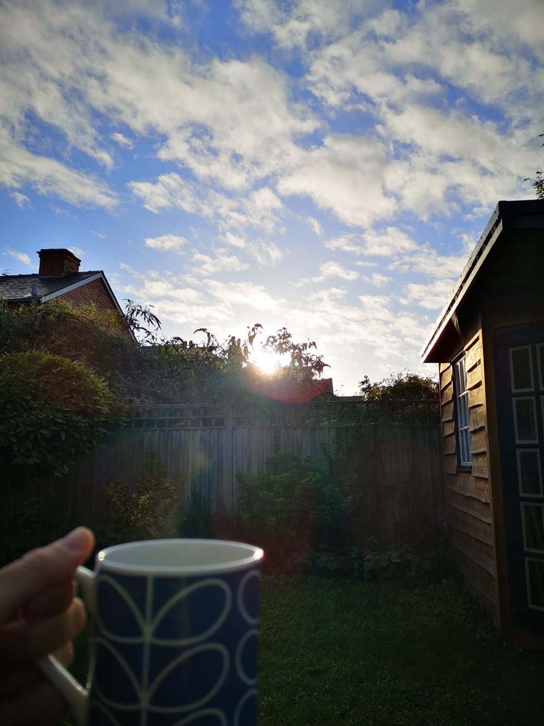 Customer photo review of Signature Espresso Blend, Organic RSPB Coffee, 1kg - Whole Bean