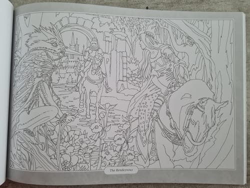 Customer photo review of 36 Pages Fantaisie Enchanteresse Livre À Coloriage