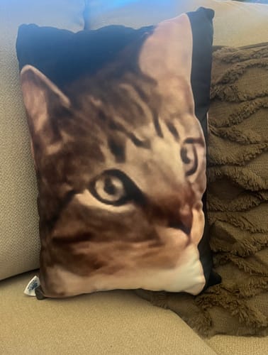 Customer photo review of Create A Custom Shaped Pillow