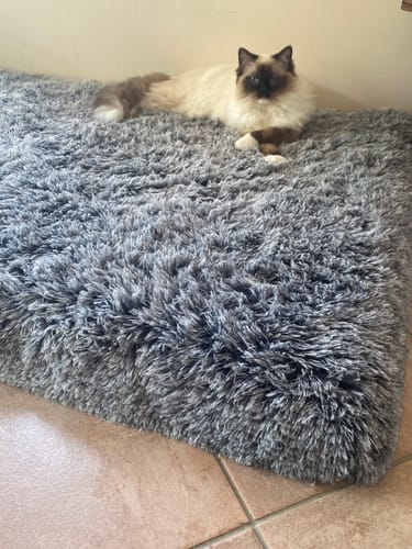 Customer photo review of PaWz Multimat Calming Bed For Dog