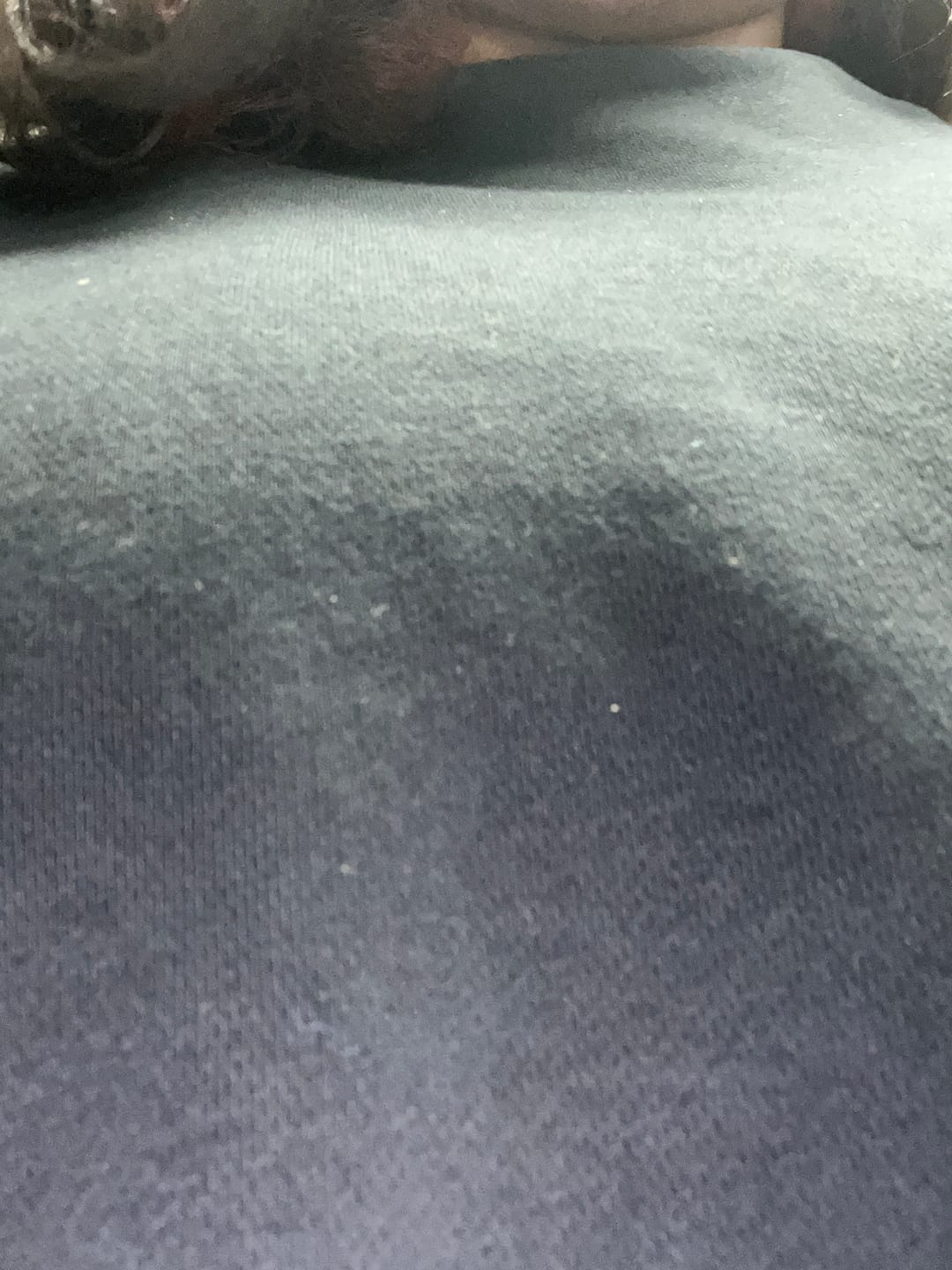 Customer photo review of in my smut era embroidered sweatshirt
