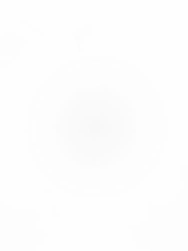 Customer photo review of UltraGlass Screen Protector for Pixel