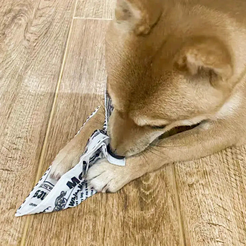 Customer photo review of The New Dog Times