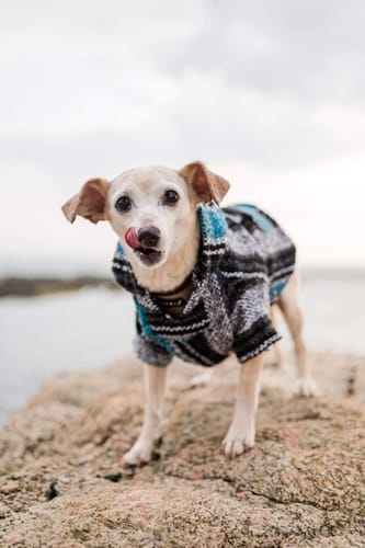 Customer photo review of Playa Poncho - Surprise Color