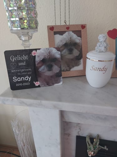 Customer photo review of Hunde Gedenktafel mit Foto & Spruch (UV- UND WETTERFEST)