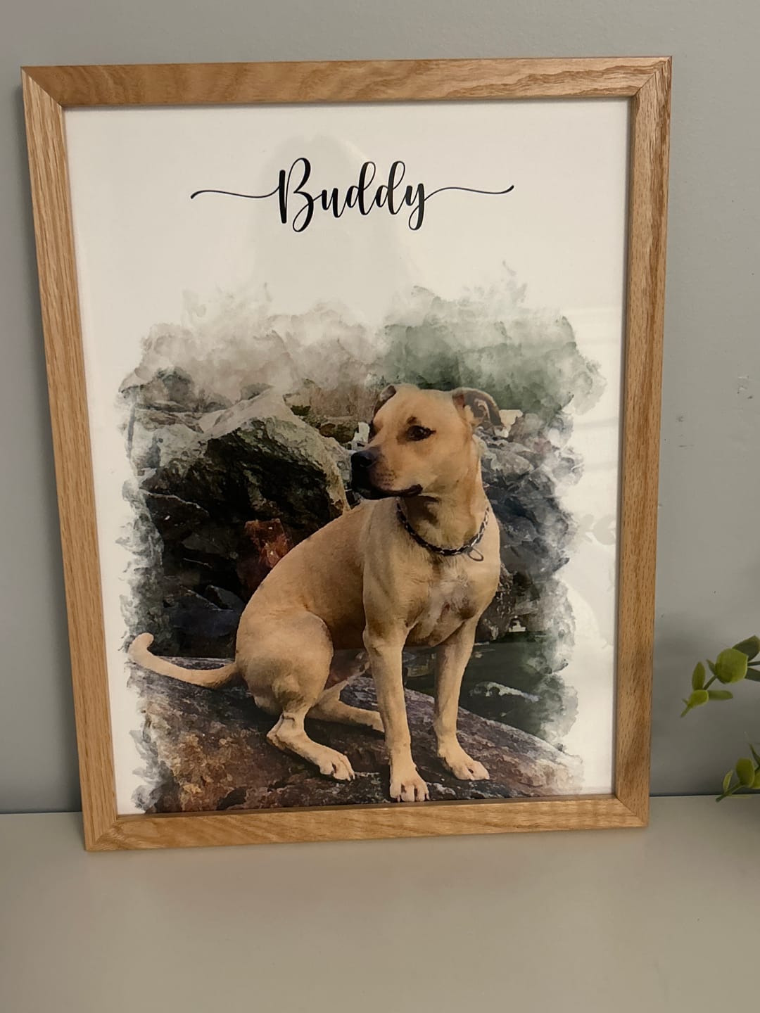 Customer photo review of Custom Pet Portrait