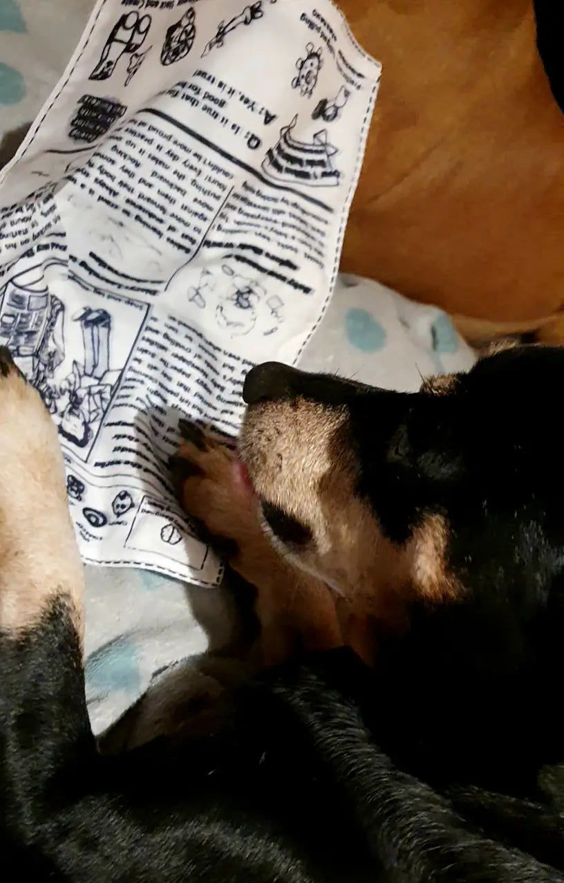 Customer photo review of The New Dog Times