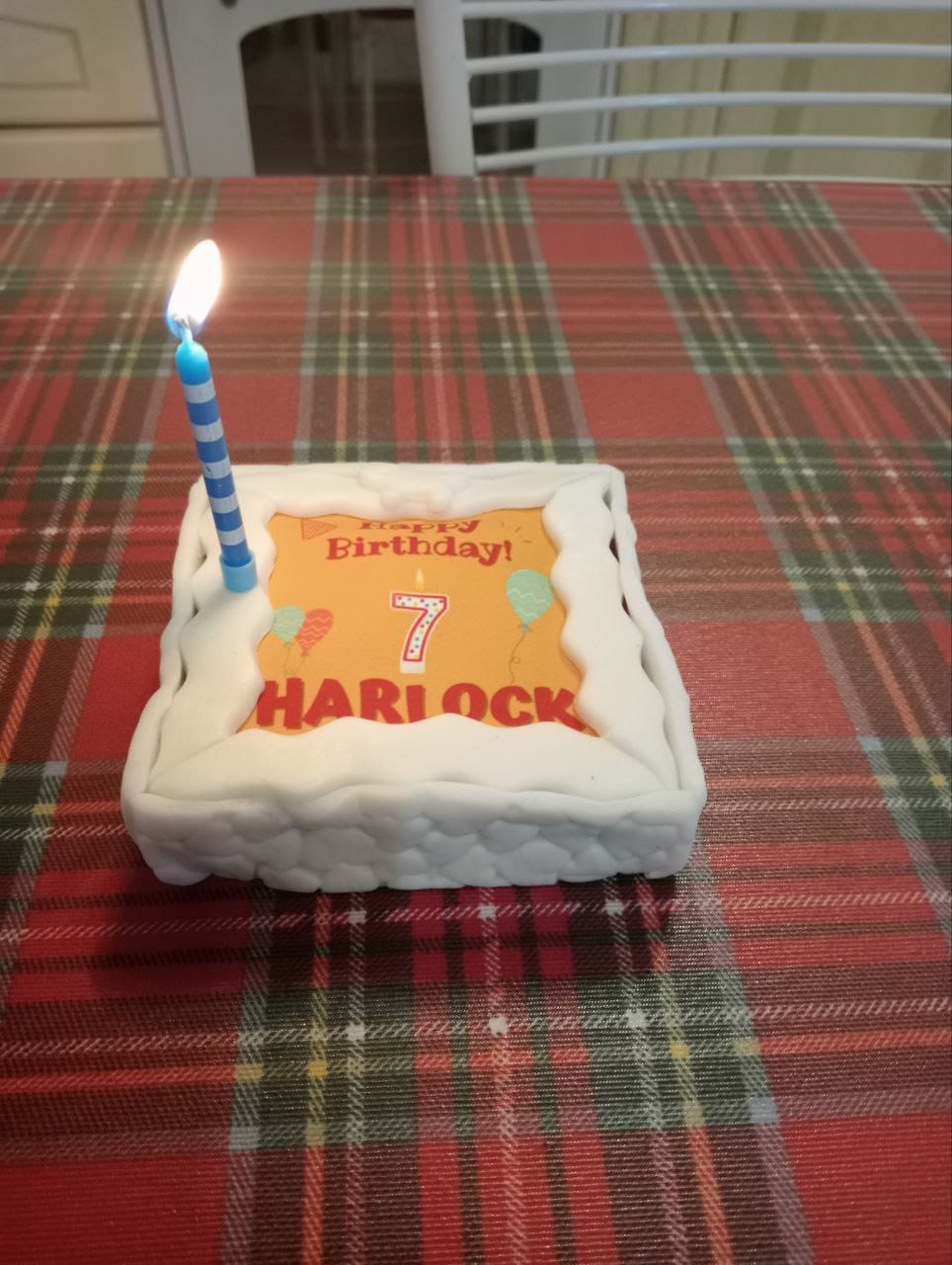 Customer photo review of Torta Per Cani Happy Birthday Personalizzabile Con NOME E ANNI