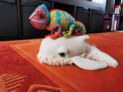 Customer photo review of The Mini Whale