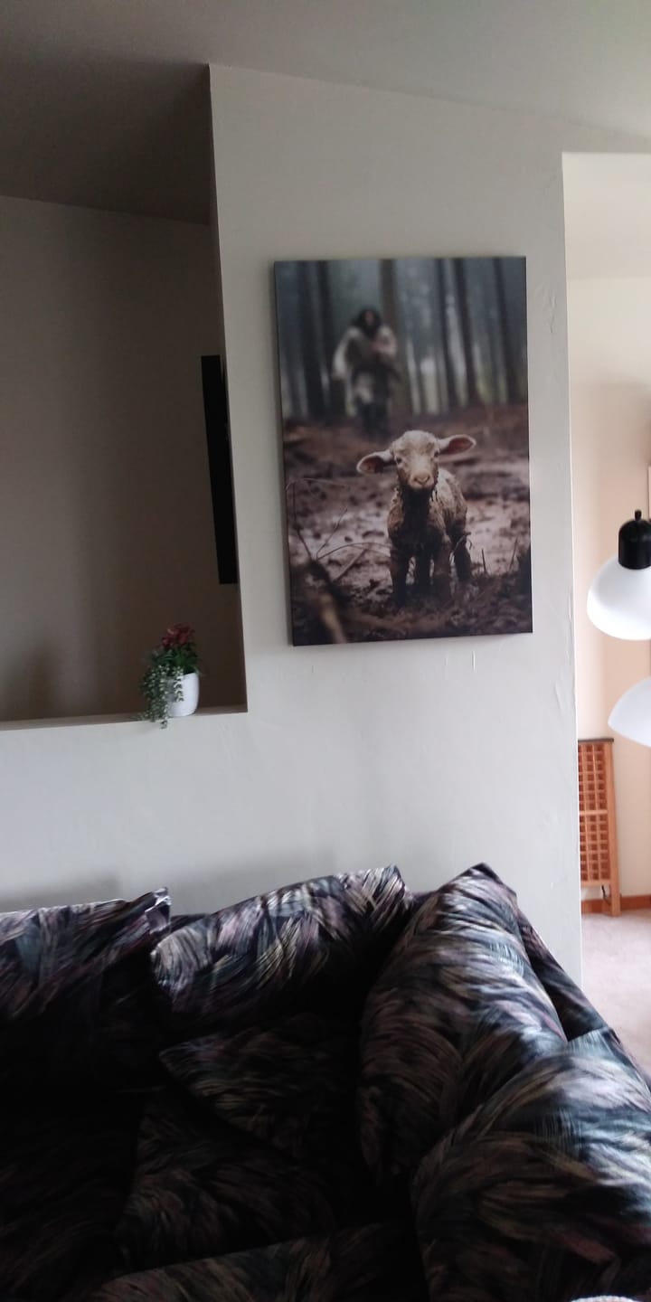 Customer photo review of Jesus Lamb of God, Jesus Running After Lamb, Wall Art Canvas