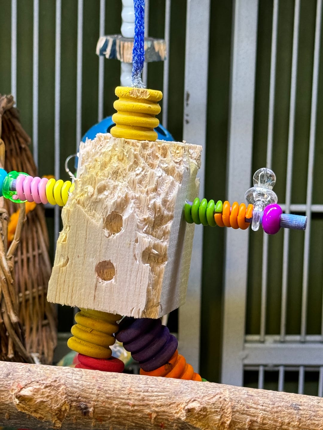 Customer photo review of Balsa Bot - Super Bird Creations