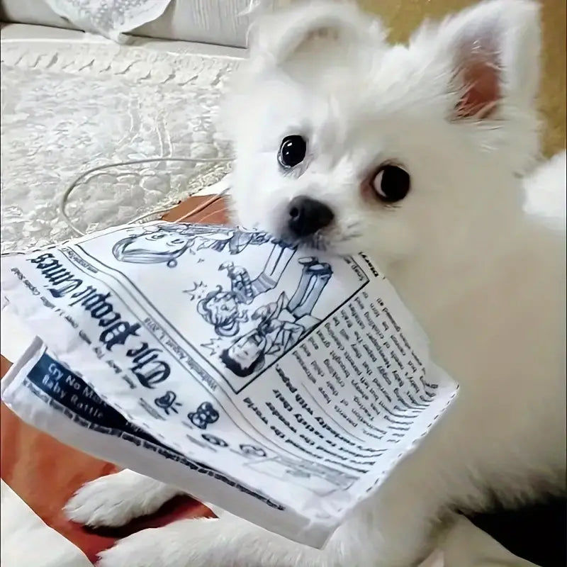 Customer photo review of The New Dog Times