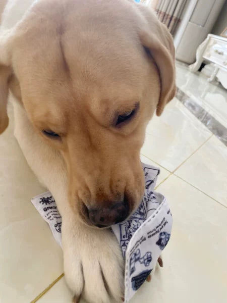 Customer photo review of The New Dog Times
