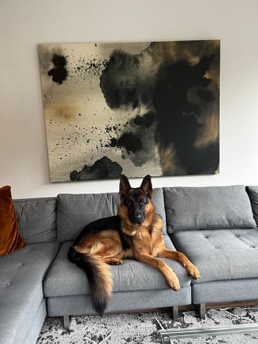 Customer photo review of Ember II