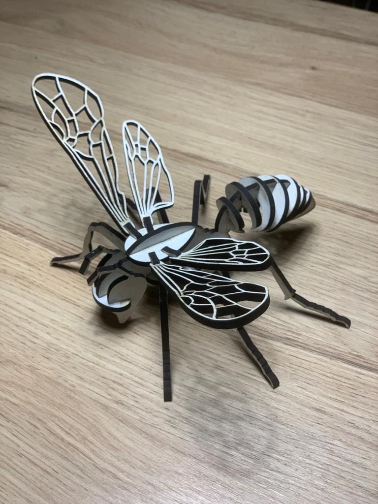 Customer photo review of Air Assist Accessories