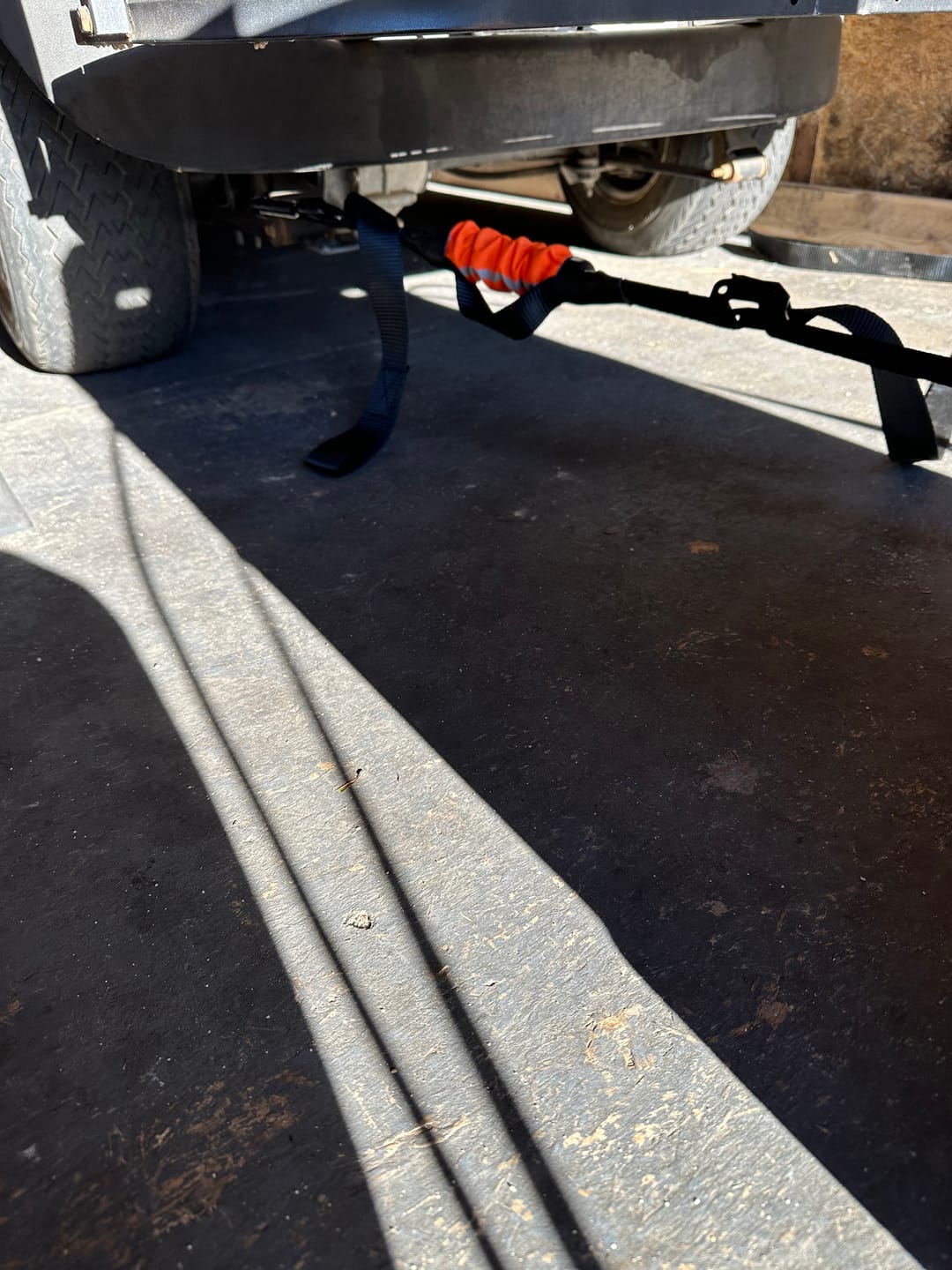 Customer photo review of TorkStrap HD750 (2-Pack)