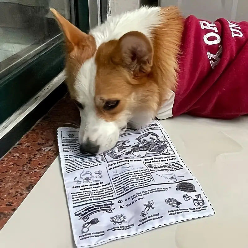 Customer photo review of The New Dog Times