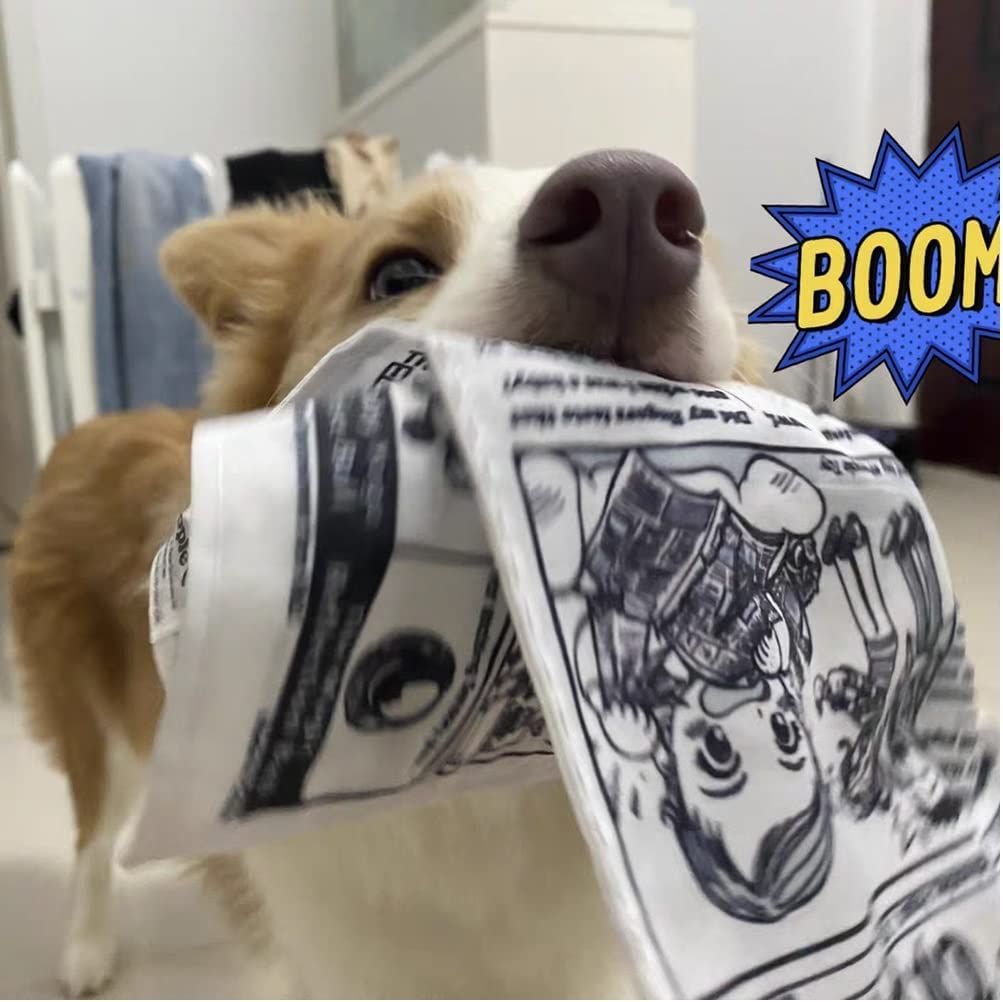 Customer photo review of The New Dog Times