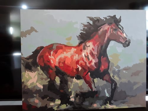 Customer photo review of Running Horse