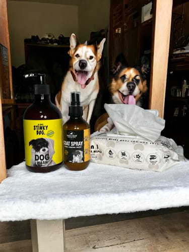 Customer photo review of DOG Bathtime Value Pack!