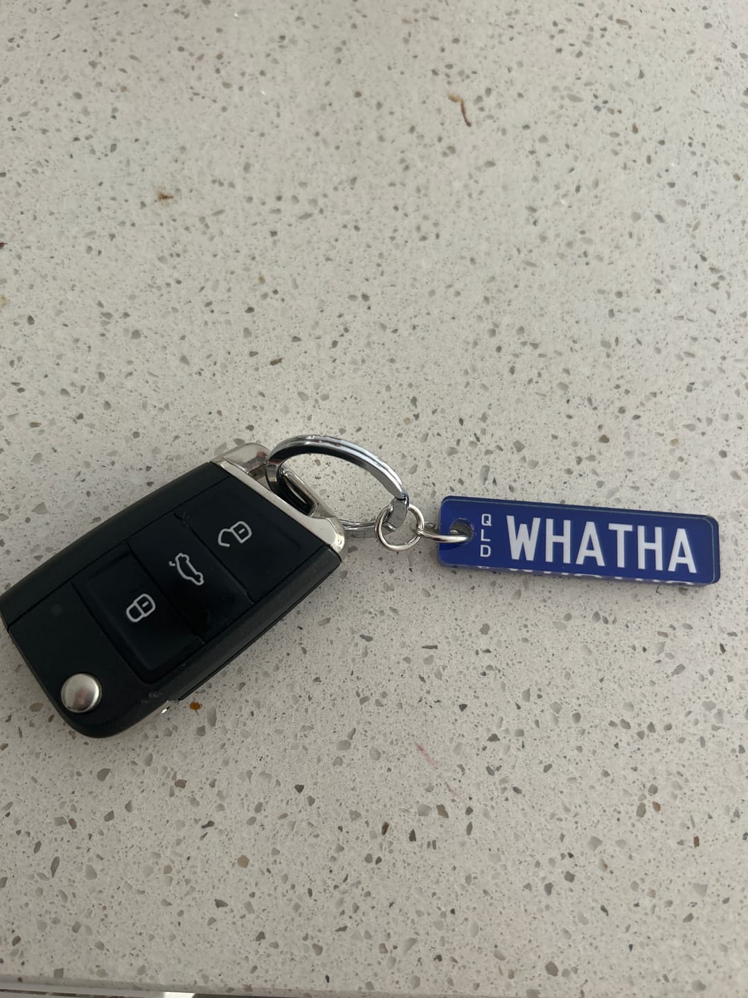 Customer photo review of QLD Prestige Licence Plate Custom Keychain