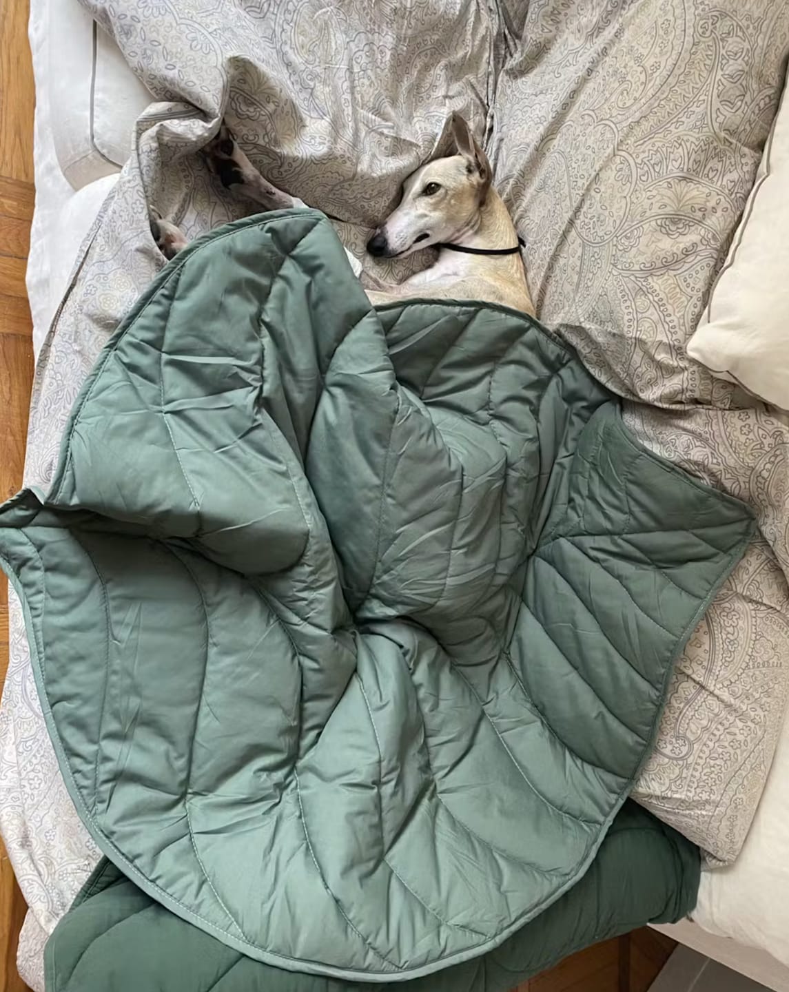 Customer photo review of Leaf Shape Mat