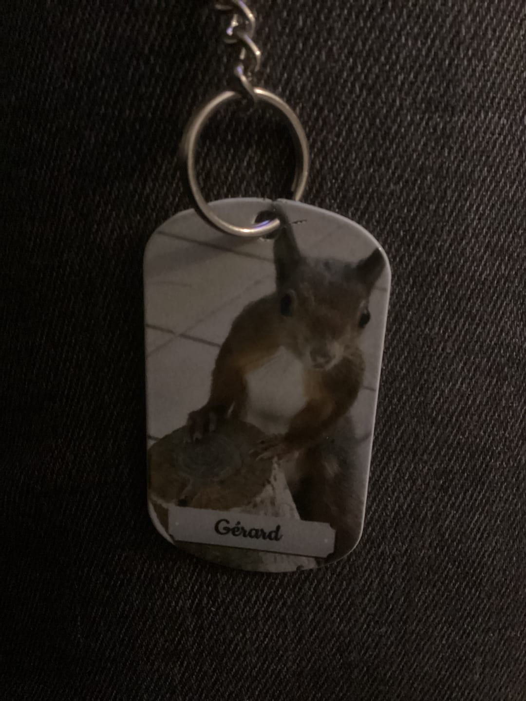 Customer photo review of Photo double face - Porte-clés Dog Tag personnalisé