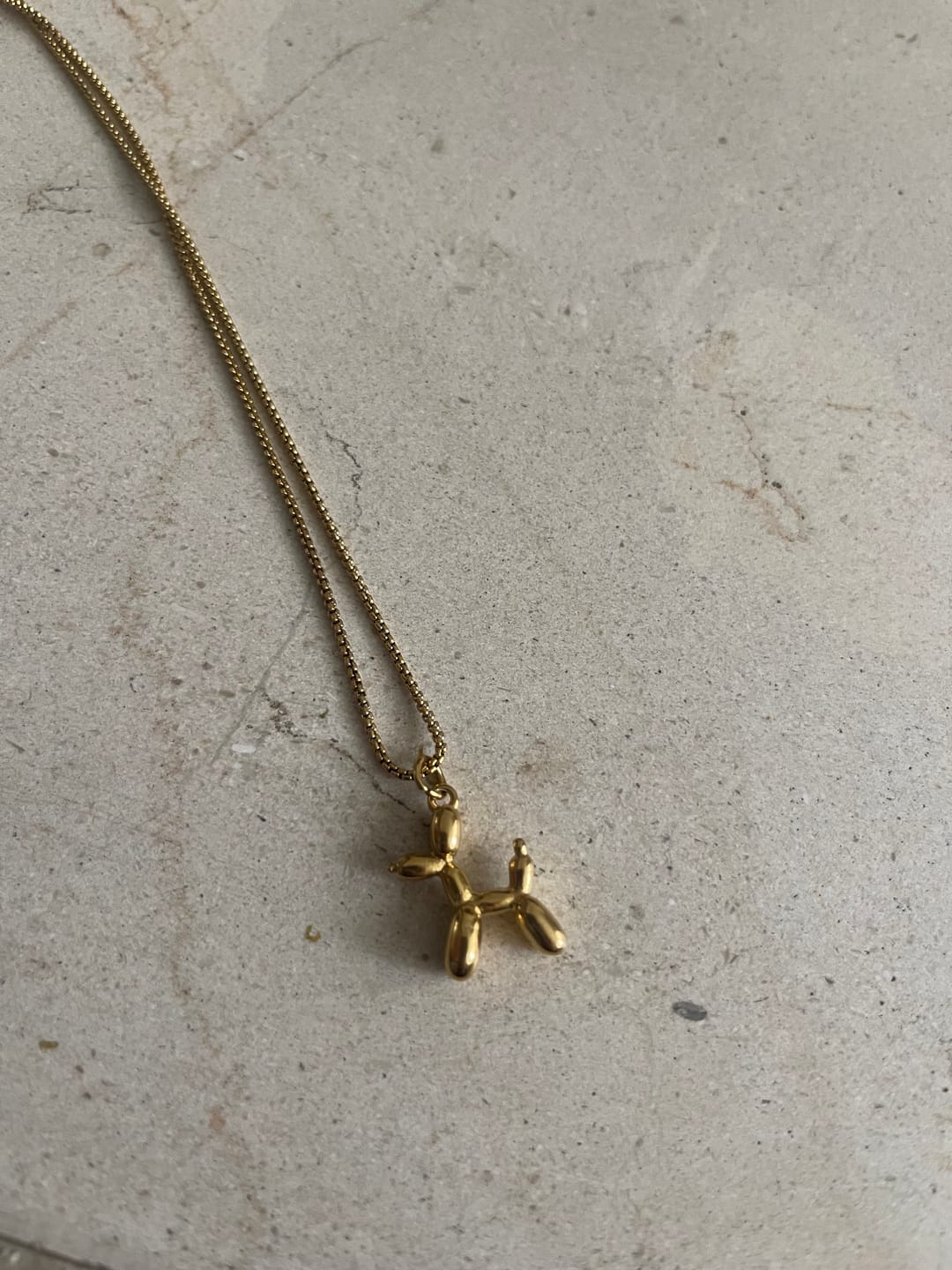 Customer photo review of Collar Doggy