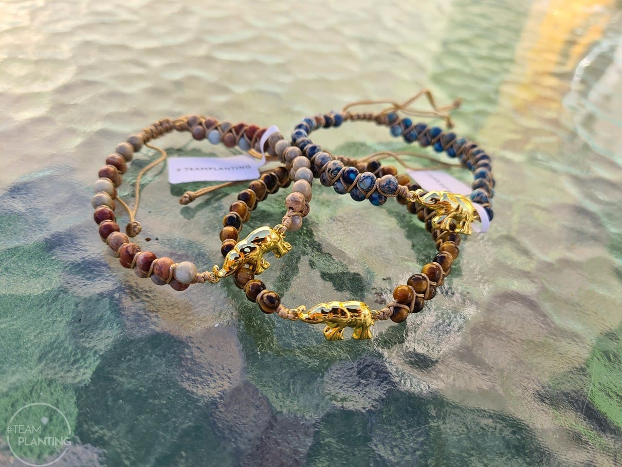 Customer photo review of Ancient Wisdom - Elephant Rainforest Jasper Bracelet