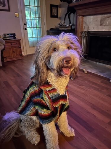 Customer photo review of Playa Poncho - Surprise Color