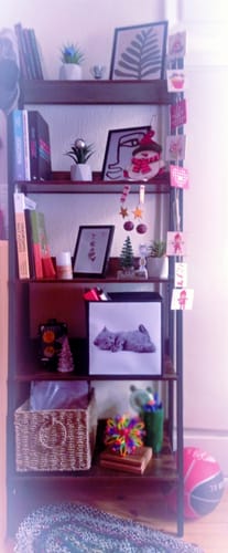 Customer photo review of Βιβλιοθήκη Ράφι Σκάλας με 5 Ράφια Στενό για Σαλόνι Υπνοδωμάτιο Γραφείο Industrial Design Vintage Καφέ  LL-S067B01