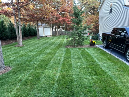 Customer photo review of Imidacloprid 2F