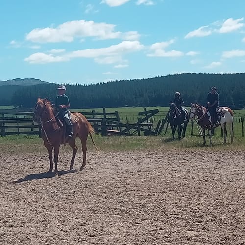 Customer photo review of Digestive VM - Equine Minerals & Vitamins