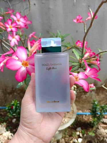 Customer photo review of Dolce & Gabbana Light Blue Eau Intense 100ml