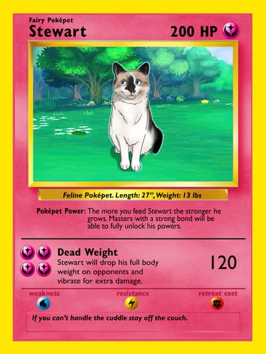 Customer photo review of Pokepet