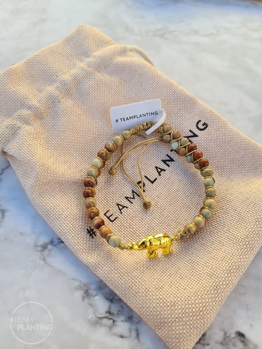 Customer photo review of Ancient Wisdom - Elephant Rainforest Jasper Bracelet
