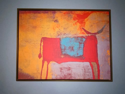 Customer photo review of Toro Rojo